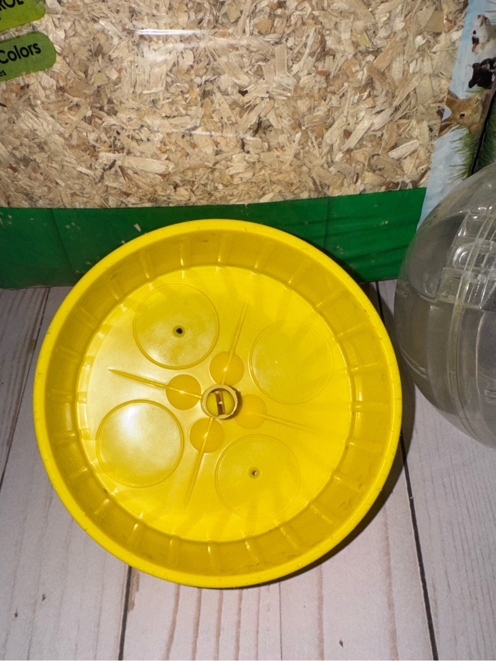 Hamster/Gerbil supplies - Picture 7 of 11